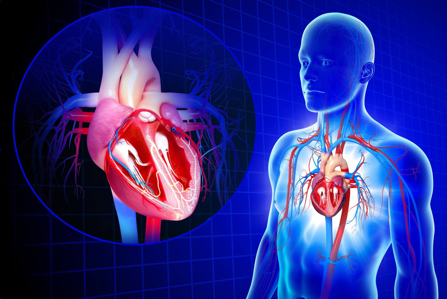 Cardiac & Vascular