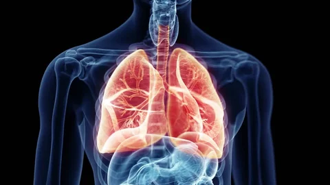 Respiratory & ENT